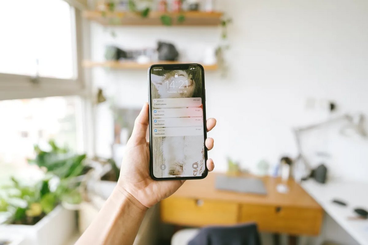 A hand holding a smartphone showing notification alerts on the lock screen, the alert that a Portal das Finanças notice is waiting